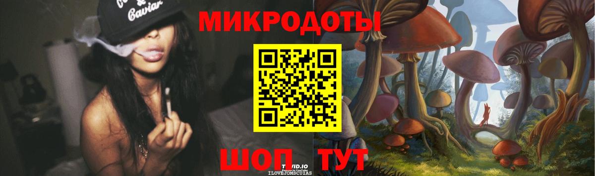 Хабаровск  Псилоцибиновые грибы Psilocybine cubensis  Вход с VPN 